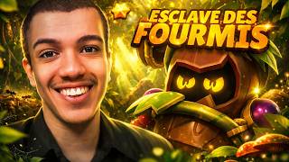 TITRE de TRUNKS avec BFA (95ème Titre)