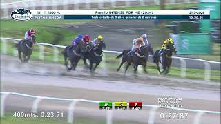 Vidéo de la course PMU PREMIO INTENSE FOR ME 2024