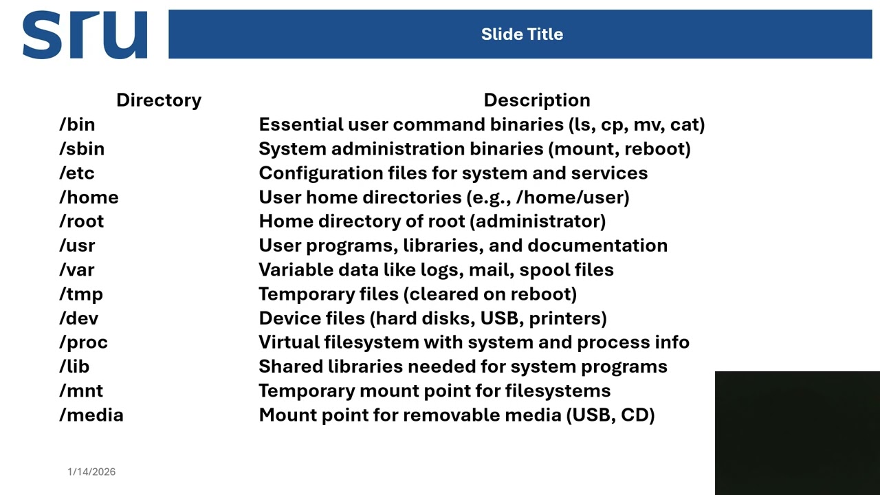 Linux File System