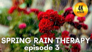 Spring Rain Therapy episode 3