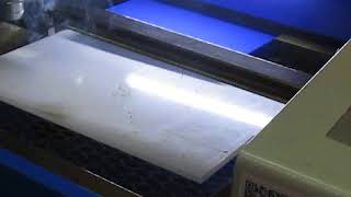 MVI 1224