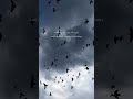 Shukran Laka Rabbi By Ahmed Bukhtair ❠️‍рџ Islam Allahп Muftimenk Quranverses Ramadan Shukran Laka Rabbi By Ahmed Bukhtair ❠️‍рџ Islam Allahп Muftimenk Quranverses Ramadan