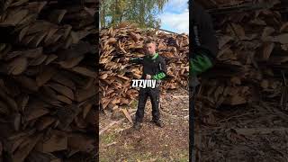 Najlepsze Drewno Pod Węgiel?