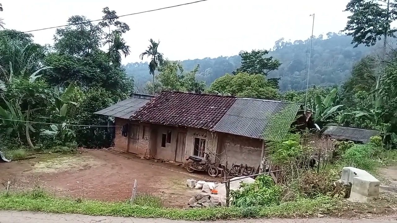 Jelajah kampung sungai hutan dan rimba