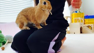 かっぱえびせんを食べてる訳ではありません　#846