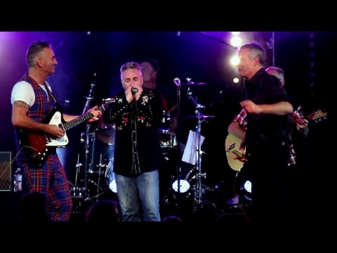 The Cockroaches - "She's the One" Live 2014