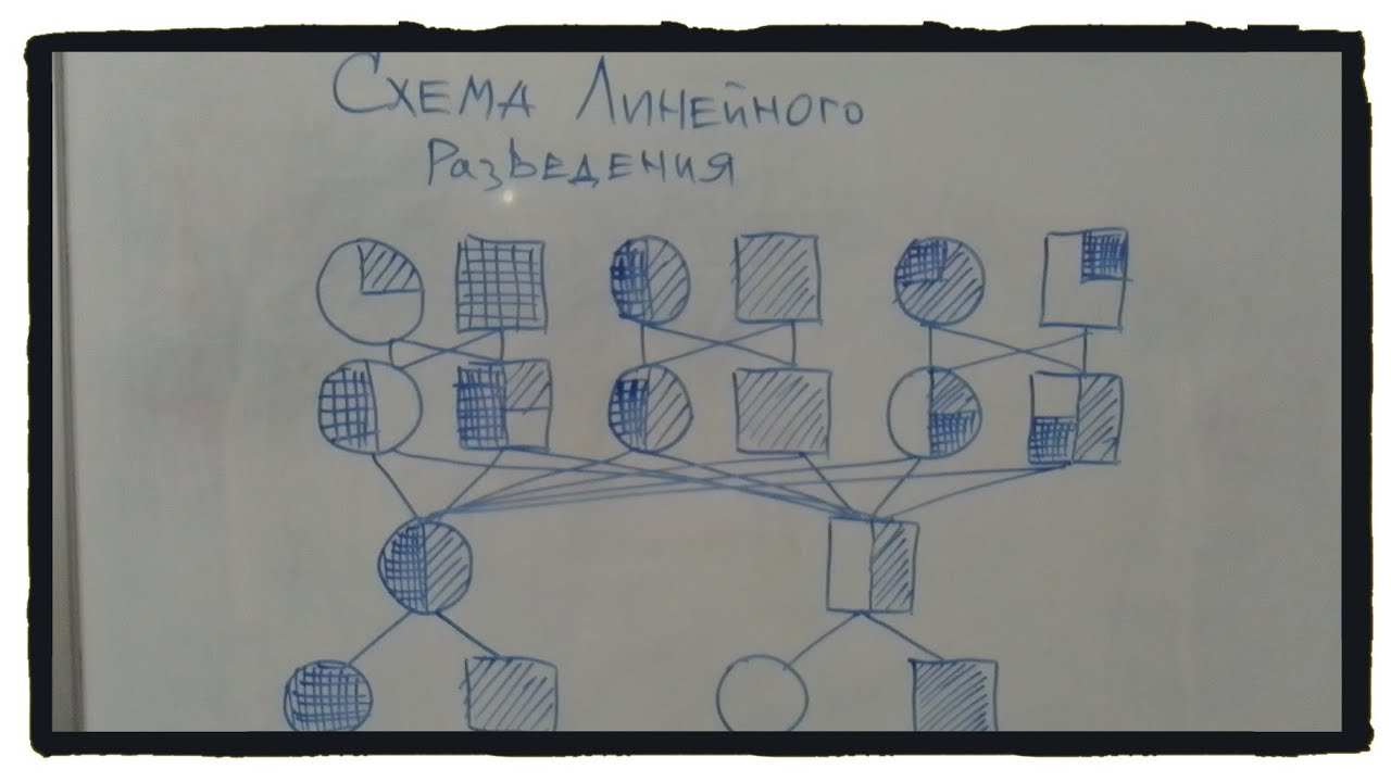 Схема линейного разведения