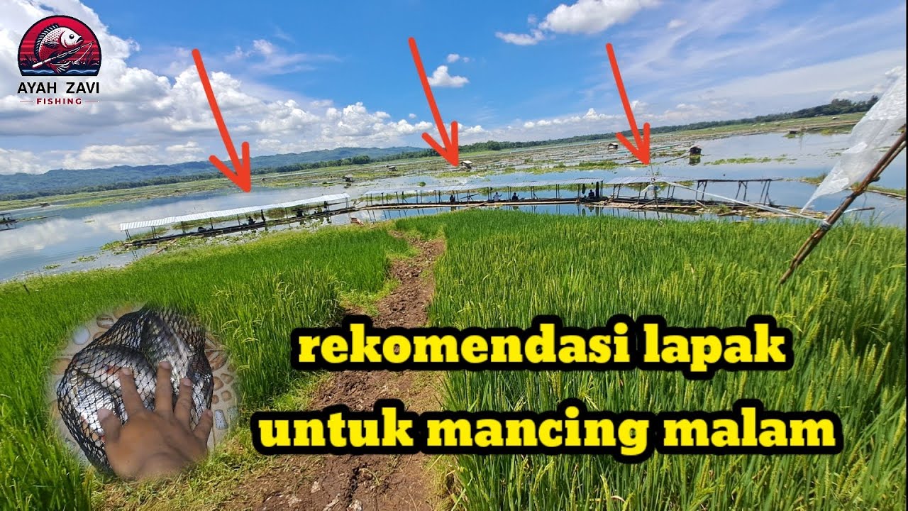 Lapak gacor suku dalu | lapak pak to bonklopo