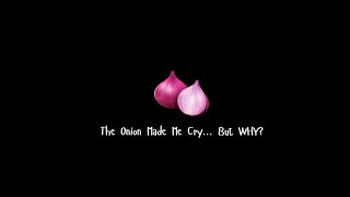 Why Do Onions Make Us Cry? #funfacts