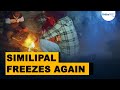Similipal records minus 1°C | Sub-zero cold hits Mayurbhanj | Unusual weather in Odisha