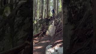 Rock Face to Head-On Tree Collision🌲💀