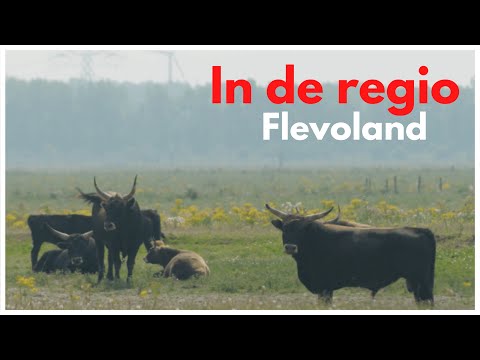 Flevoland - In de regio | Uit in Amsterdam