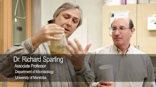 Discarded coffee cups turned into biofuel