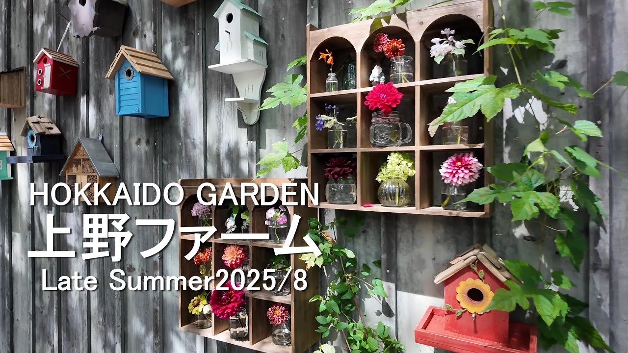 北海道ガーデン 上野ファーム 【late summer】2025/ 8/18 - YouTube