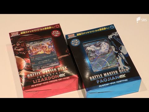 まとめ売り　バラ売り不可　リザードン・ニドキング トレーディングカードセット hqdefault.jpg