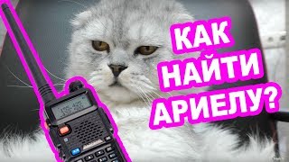 КЕВА ПРИДУМАЛ ПЛАН КАК ВЕРНУТЬ АРИЕЛУ!