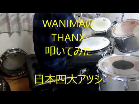 日本四大アツシが　WANIMAのTHANXを叩いてみた