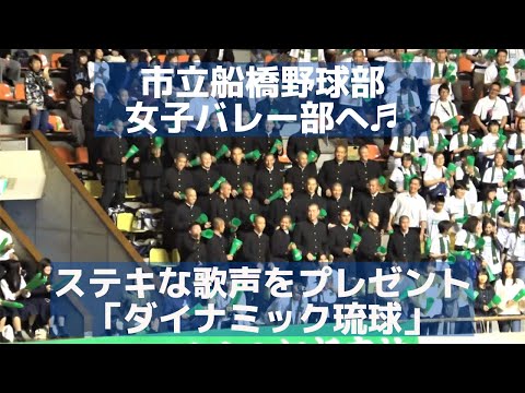市立船橋野球部？女子バレー部へ「ダイナミック琉球」ステキな声でプレゼント