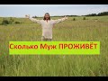 Муж рано умер/ Причины и профилактика с Любомиром Вольным