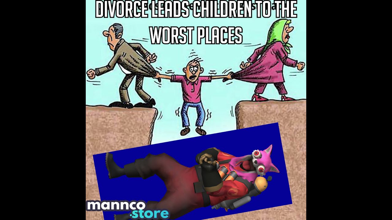 Divorce Leads Children to FURRIES (TF2)