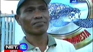 Penangkaran Telur Penyu Semi Alami Di Banyuwangi