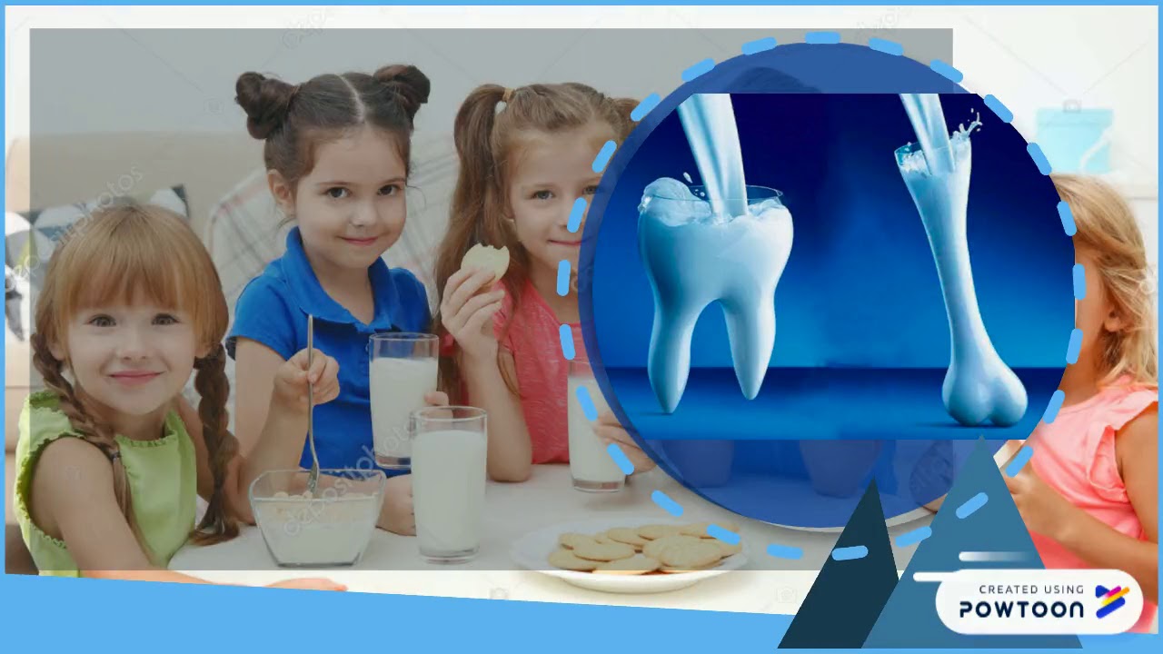 THE FOOD PYRAMID milk group YouTube