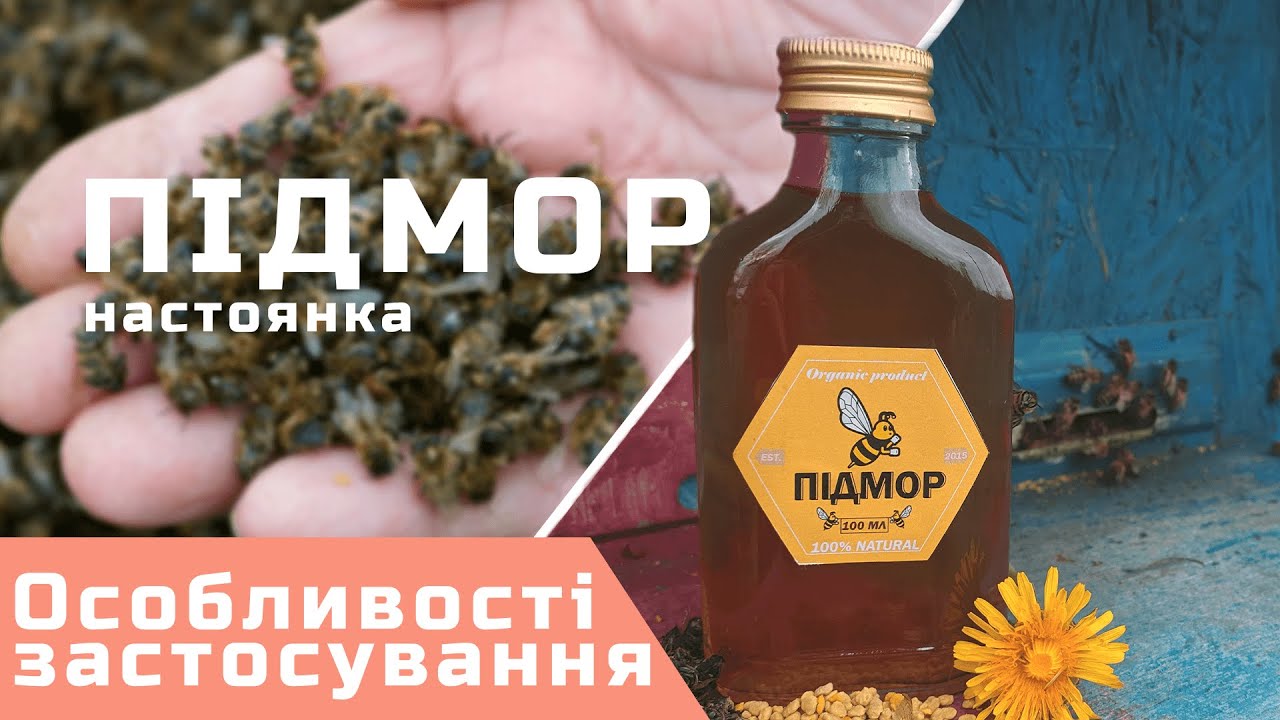 Настоянка бджолиного підмору - особливості застосування