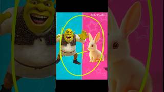 Shrek glow up into Bunny