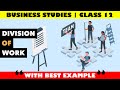 Division Of Work | Business Studies | Class 12 | Explainer