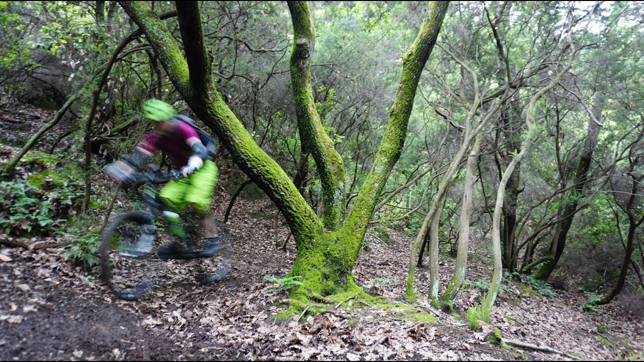 Camaiore – Best of Trails – MTB