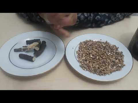Video: Astragalus - ölümsüzlük otu