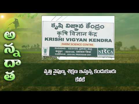 Skill development training programs at Kandukur KVK, Prakasam district | ETV Telugu