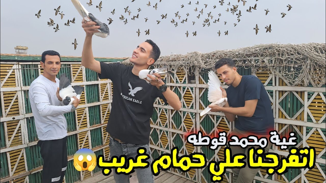 الغية دي فيها حمام غريب جداً 😯شوفنا كل حاجة (وطيرنا 200 حمامه) غية محمد اوطه؟!!