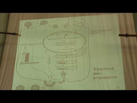 Видео: Эпи-препараты в сочетании с иммунотерапией: новый путь повышения противоопухолевой эффективности