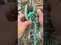 Simple knots that can be easily learned