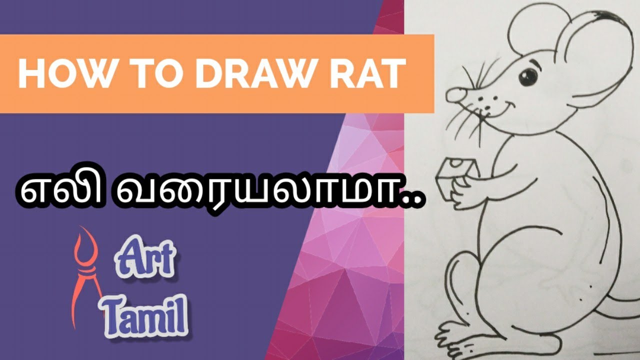 How to Draw Rat | easy drawing | art tamil | step by step drawing | simple drawing |
