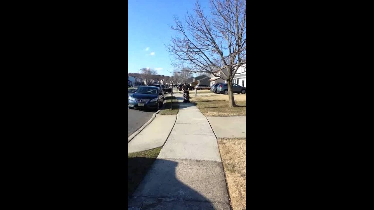 Throwing things at random peoples heads (vine) YouTube