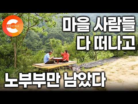 다 떠나버려서 전기마저 끊긴 동네, 끝내 둘만 남았다. "보세요. 전기가 어디에 있나" 밤이 오면 호롱불 하나로 살아가는 노부부의 여름ㅣ#한국기행
