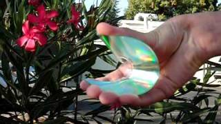 Half a CD Breaks in Slow Mo with Casio EX-FS10