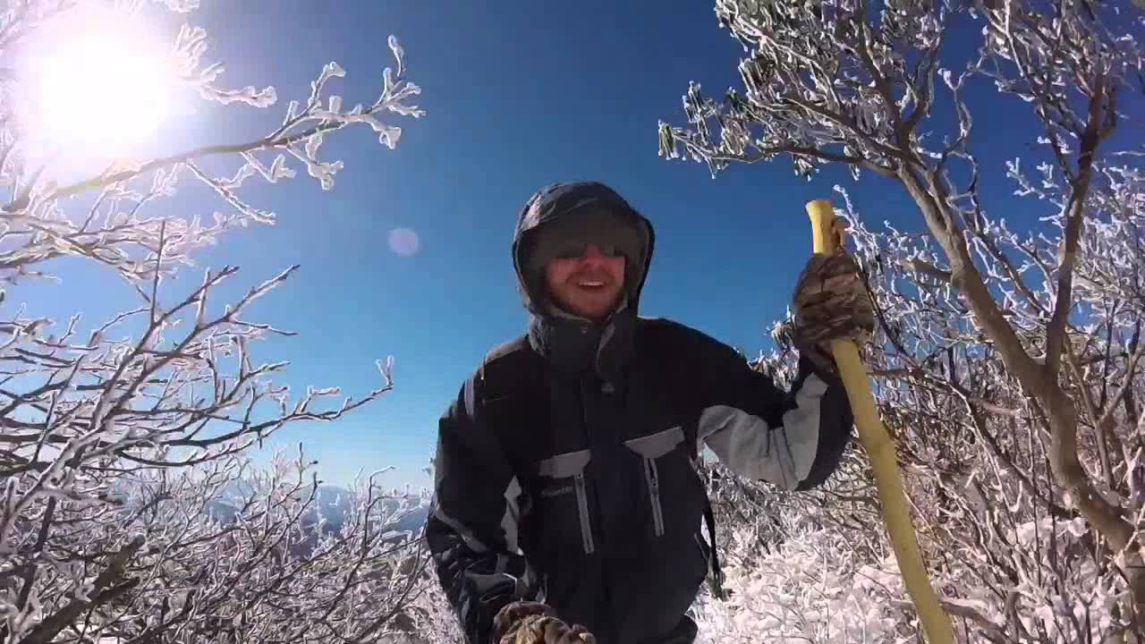 Roan Mountain Highlands Hike YouTube