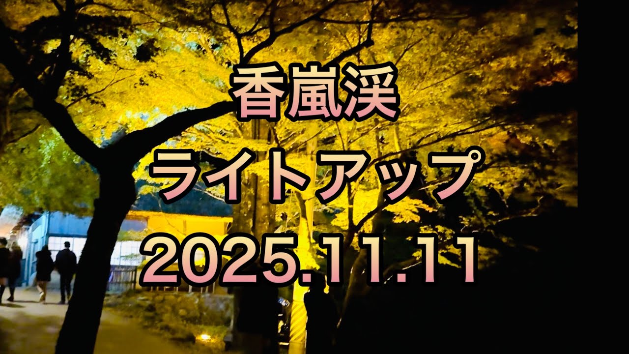 香嵐渓　ライトアップ　紅葉　2025.11.11