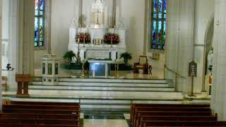 May 29, 2026 - Daily Mass