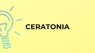 What Is The Meaning Of The Word Ceratonia?