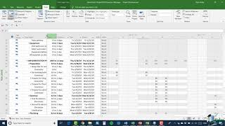 27 Microsoft Project 2019 Tutorial for Beginners | Task Usage View & Timescale Customization