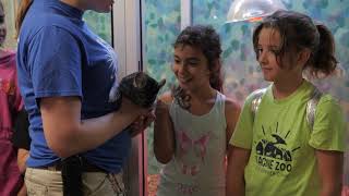 Conservation Education – #GivingZOODay 2019