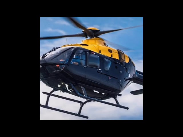 America vs Indian  The Box parody