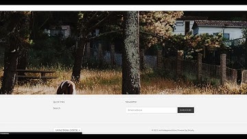 Gorgias 101: How to Set Up Gorgias Automate