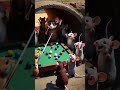 Mouse playing snooker #cartoon #kids