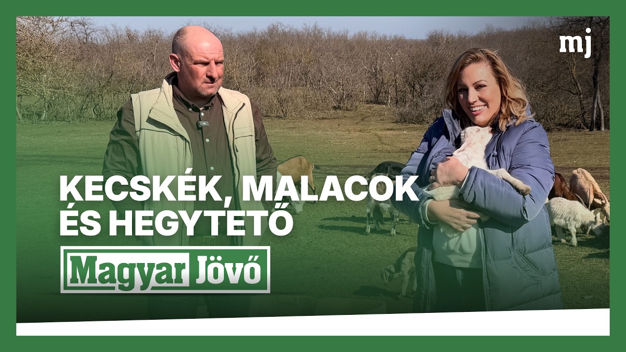 Függetlenedés a fogyasztói társadalomtól