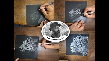 Jaguar Scratchboard By Esayas